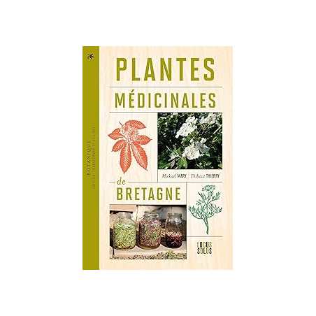 Plantes médicinales de Bretagne : Cueillir