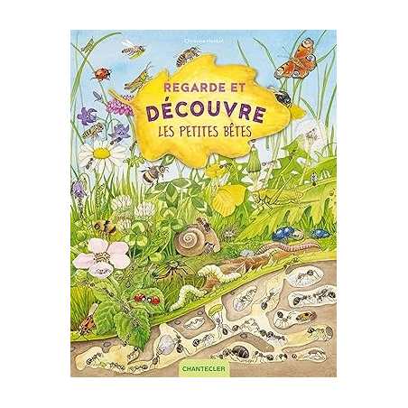 Regarde et découvre - Les petites bêtes - Collectif