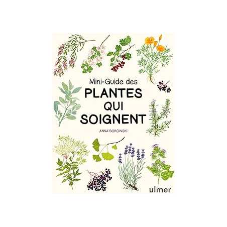 Mini-guide des plantes qui soignent - Borowski Anna