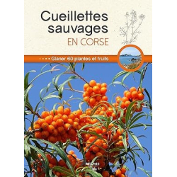 Cueillettes sauvages en Corse - Collectif