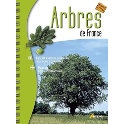 Arbres de France - Losange