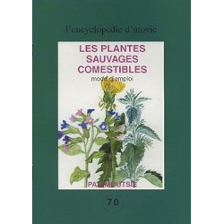 Les plantes sauvages comestibles : Mode d'emploi - Moutsie