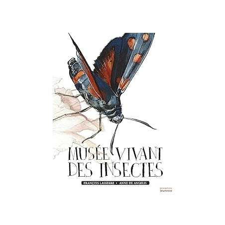 Musée vivant des insectes - Lasserre/De Angelis