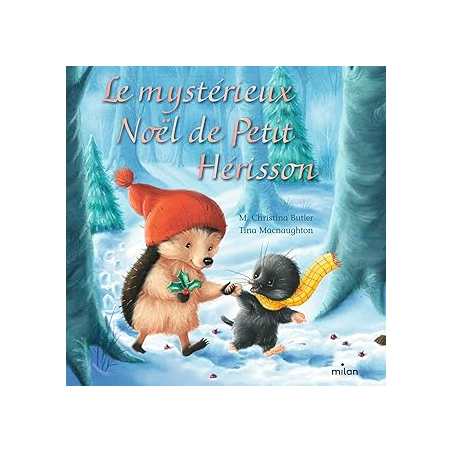 Le mystérieux Noël de Petit Hérisson (tout-carton) - Butler/Macnaughton