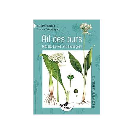 Ail des ours