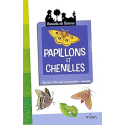 Papillons et chenilles - Léon Rogez