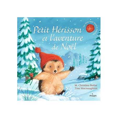 Petit Hérisson et l'aventure de Noël (tout-carton) - Butler/Macnaughton