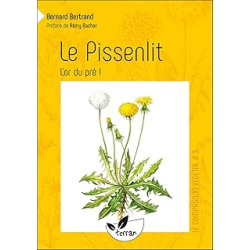 Le pissenlit