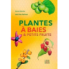 Plantes à baies & petits fruits - Guirriec Herve