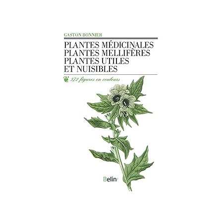 Plantes médicinales mellifères