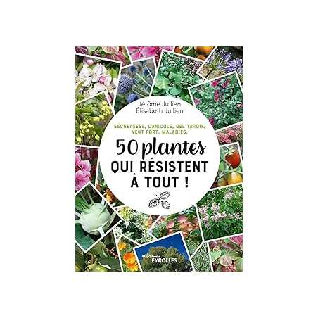 50 plantes qui résistent à tout ! Sécheresse