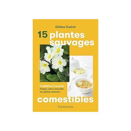 15 plantes sauvages comestibles - Guene Gildas