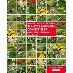 Plantes sauvages comestibles : 40 recettes originales - Berendes Pascale