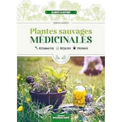 Plantes sauvages médicinales : Reconnaître