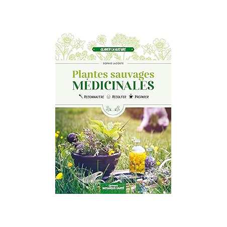 Plantes sauvages médicinales : Reconnaître