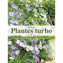 Plantes turbo : Des solutions spectaculaires pour vos jardins