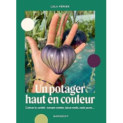 Un potager haut en couleur : Cultiver la variété : tomate violette