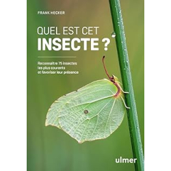 Quel est cet insecte ? - Reconnaître 75 insectes les plus courants et favoriser leur présence : Bourdons