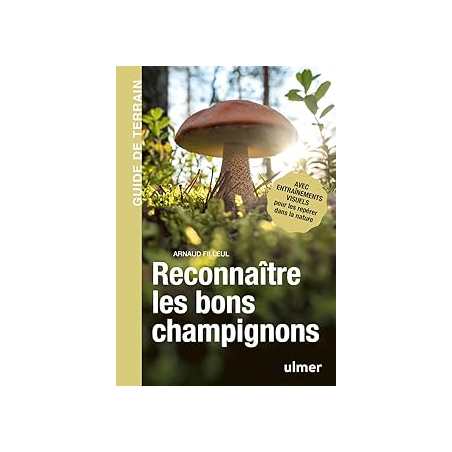 Reconnaître les bons champignons - Guide de terrain - Filleul Arnaud