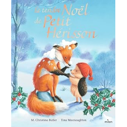 Le tendre Noël de petit herisson - Butler/Macnaughton