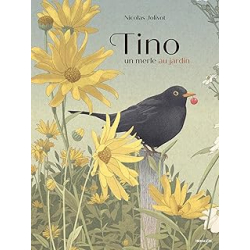 Tino