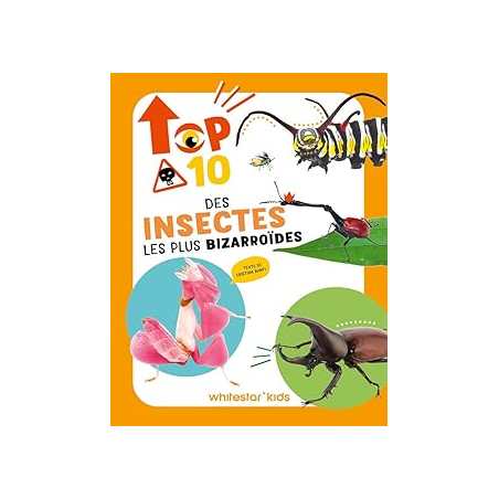 Top ten des insectes les plus bizarroides - Banfi Cristina