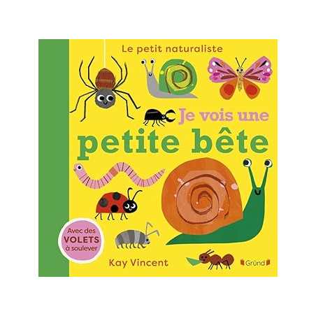 Je vois une petite bête – Livre d'éveil tout-carton avec des volets à soulever – Dès 2 ans - Vincent Kay