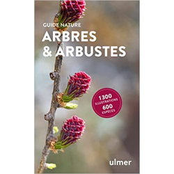 Arbres et arbustes - Bruno P. Kremer