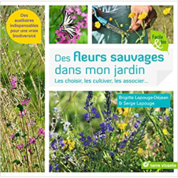 Des fleurs sauvages dans mon jardin: Les choisir