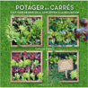 Potager en carrés - Créer et entretenir vos carrés mois par mois - Catherine Delvaux