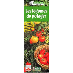 Les Légumes du potager : Le Semis