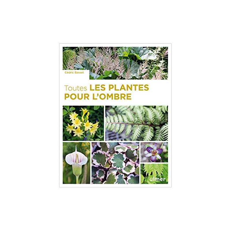 Toutes les plantes pour l'ombre - Cédric Basset