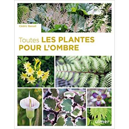 Toutes les plantes pour l'ombre - Cédric Basset