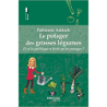 Le potager des grosses légumes - Fabienne Amiach