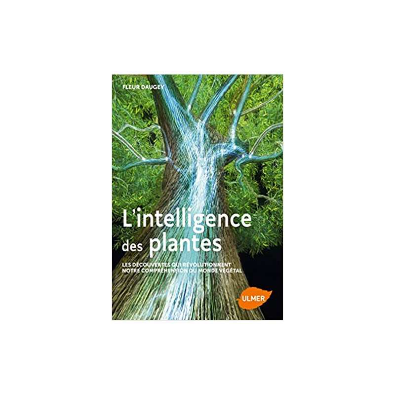 L'intelligence des plantes - Les découvertes qui révolutionnent notre compréhension du monde - Fleur Daugey