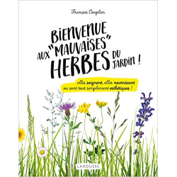 Bienvenue aux mauvaises herbes du jardin : elles soignent