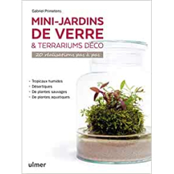 Mini-jardins de verre & terrariums déco - 20 réalisations pas à pas - Gabriel Primetens