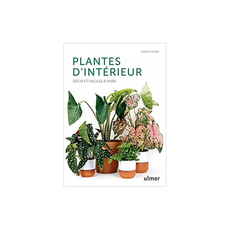 Plantes d'intérieur - Déco et faciles à vivre - Gynelle Leon