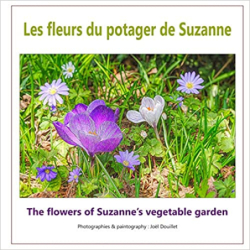 Les fleurs du potager de Suzanne - Joel Douillet