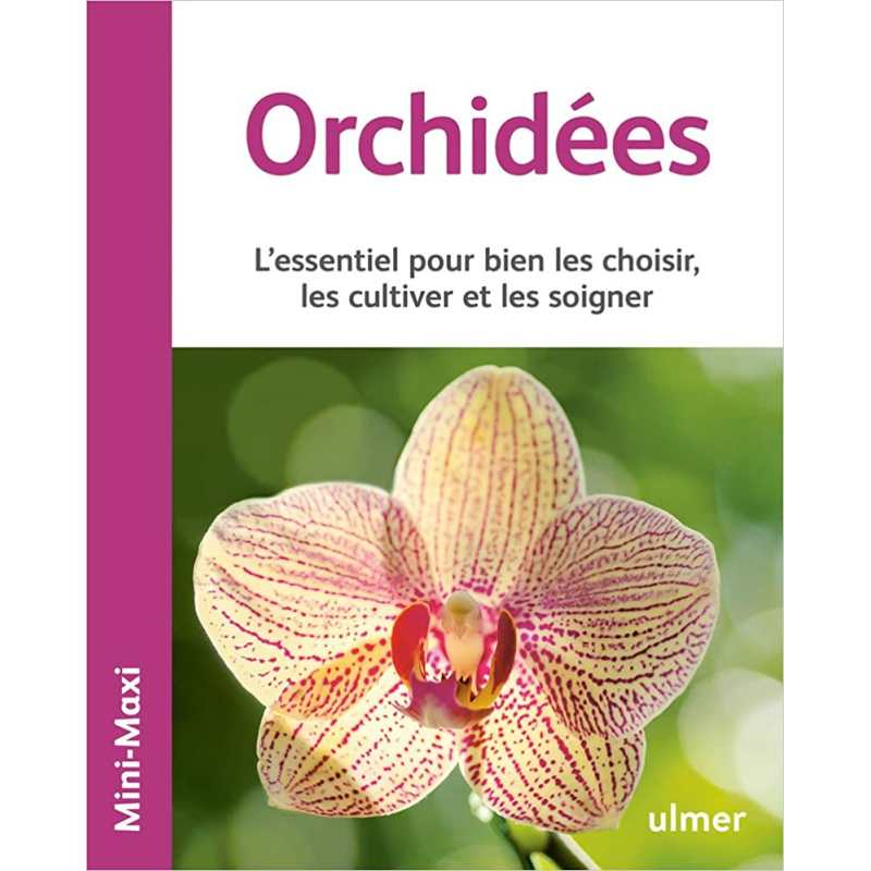 Orchidées - Lutz Rollke