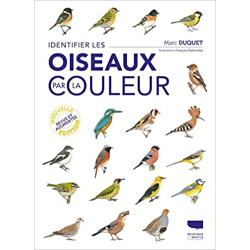 Identifier les oiseaux par la couleur - Marc Duquet