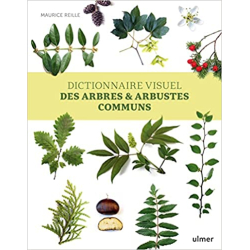 Dictionnaire visuel des arbres et arbustes communs - Maurice Reille