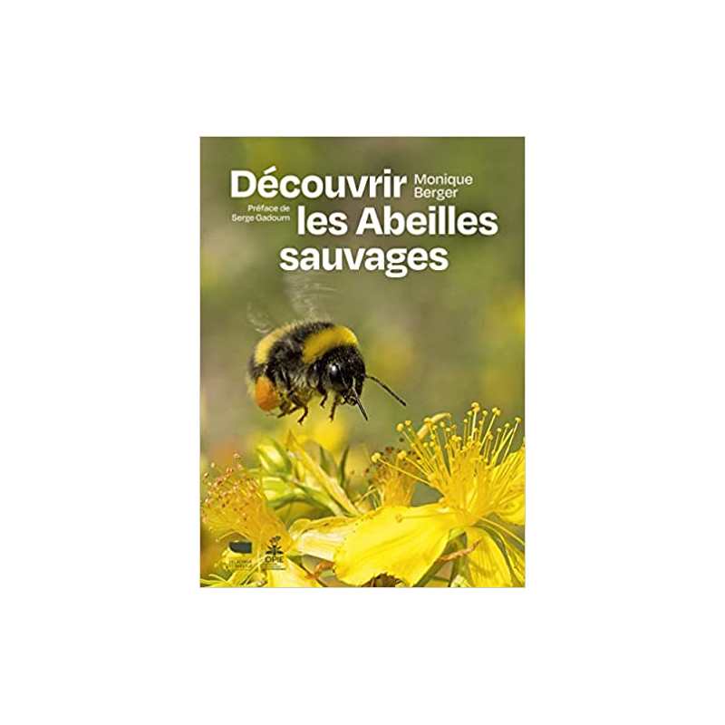 Découvrir les abeilles sauvages - Monique Berger