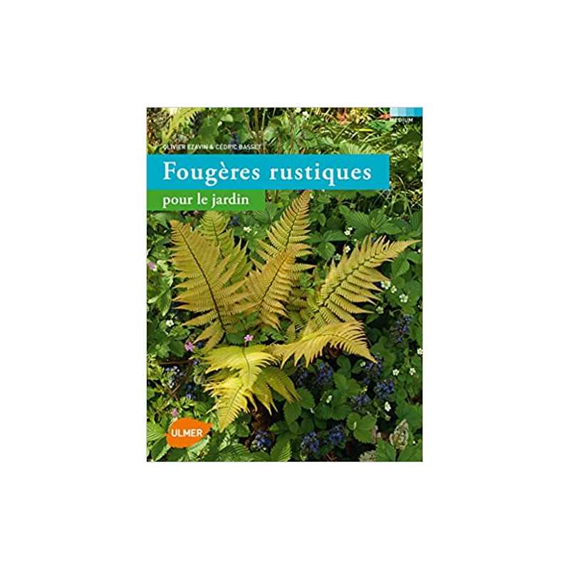 Fougères rustiques pour le jardin - Olivier Ezavin