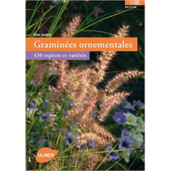 Graminées ornementales - Rick Darke