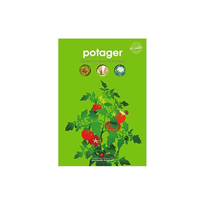 Potager - Comment poussent les tomates ? - Sophie Lamoureux