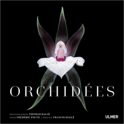 Orchidées - Thomas Balay