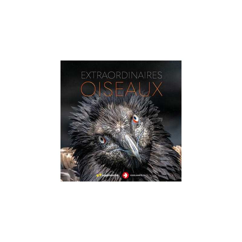 Extraordinaires oiseaux - Collectif