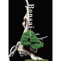 Bonsai /anglais/japonais - Kobayashi Kunio