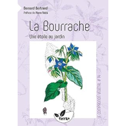 La Bourrache - Une étoile au jardin - Vol. 14 - Bertrand Bernard